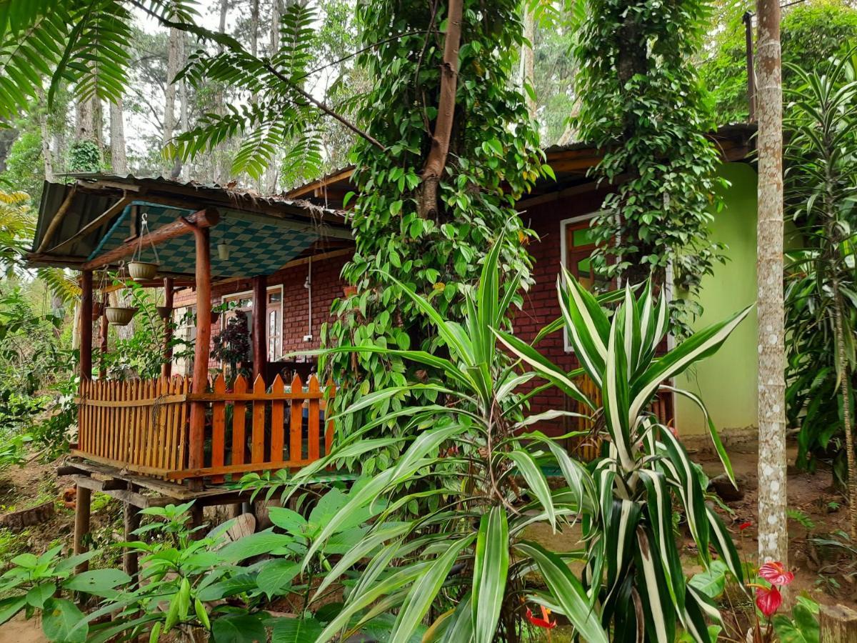 Green Heaven Lodge Елла Екстер'єр фото